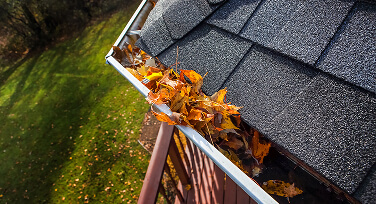 Gutter Cleaning